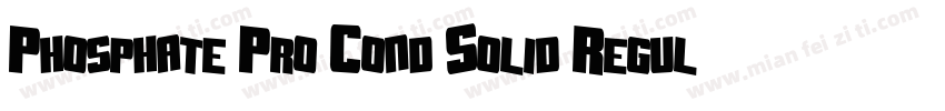 Phosphate Pro Cond Solid Regular字体转换